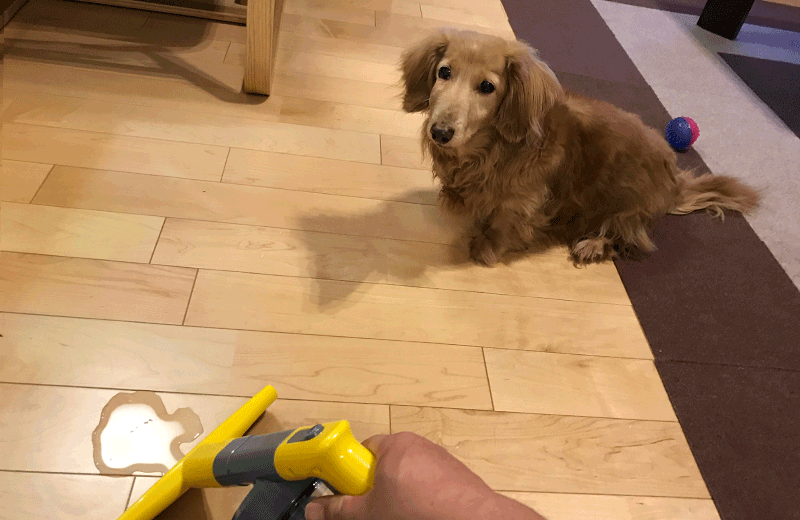 ペットのおしっこをスイトル