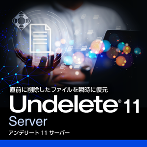 Undelete 11 Server 保守 Cライセンス (10-)