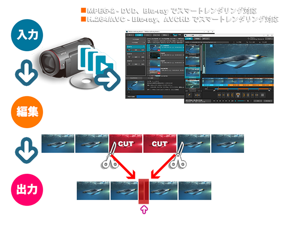 Tmpgenc Authoring Works 6 ダウンロード版 J8ejt Iacss19 Ru