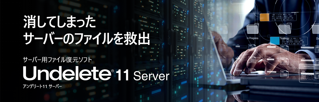 Undelete11 Server